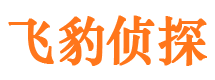 鸡东捉小三公司